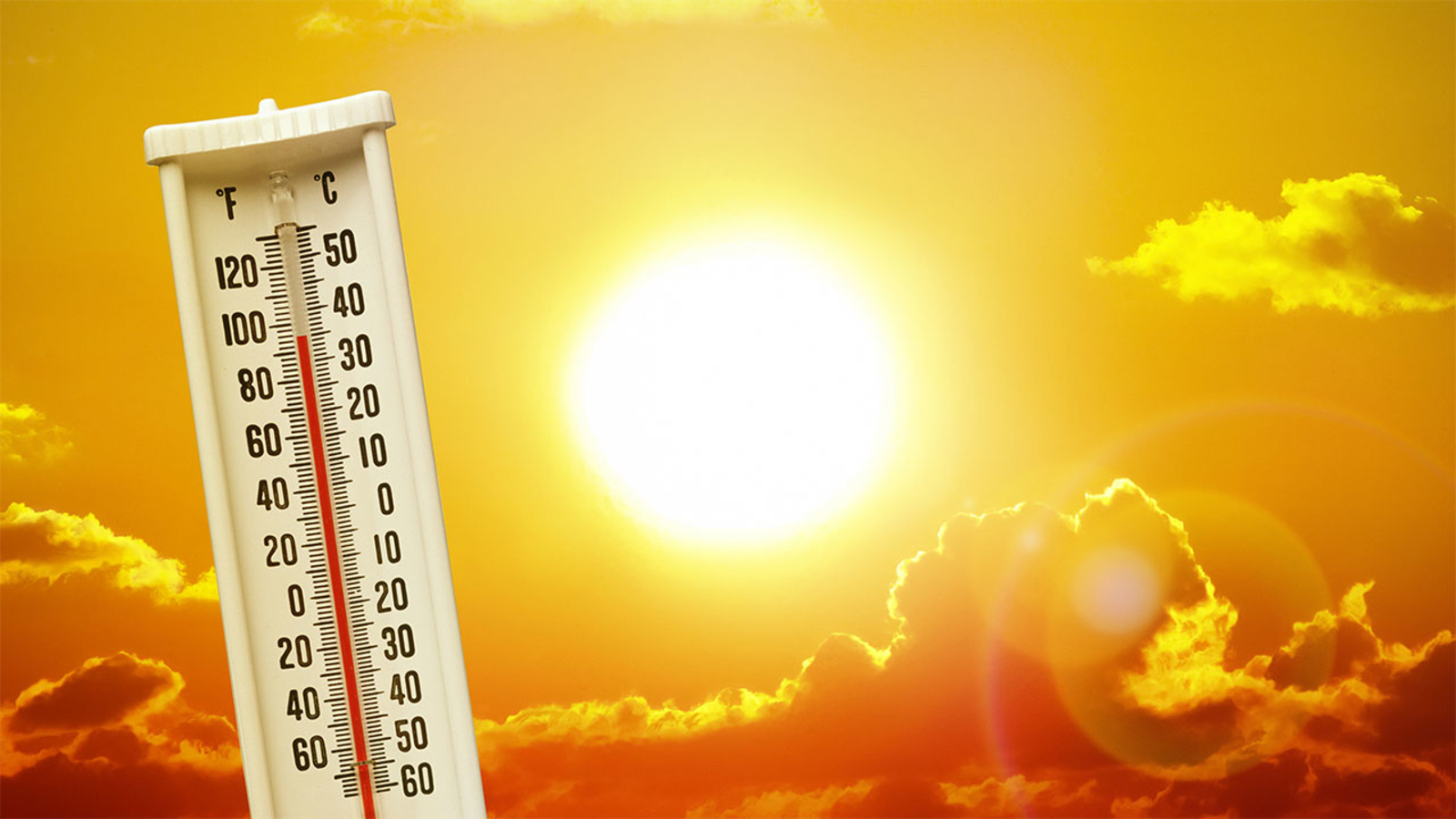 Heatwaves and Health Safety Tips Evercarebd